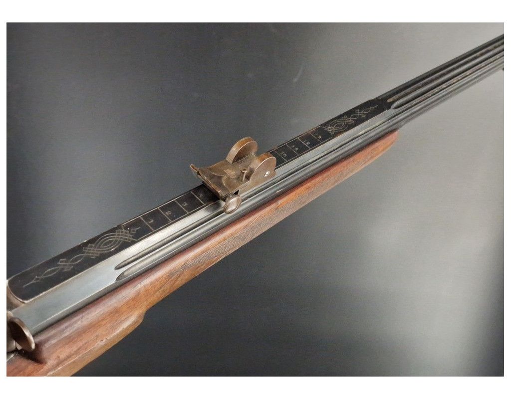 Armes d'Épaule CARABINE DE TIR SYSTEME FLOBERT CALIBRE 6MM/.22 ANNULAIRE - BELGIQUE FRANCE XIXè - 17