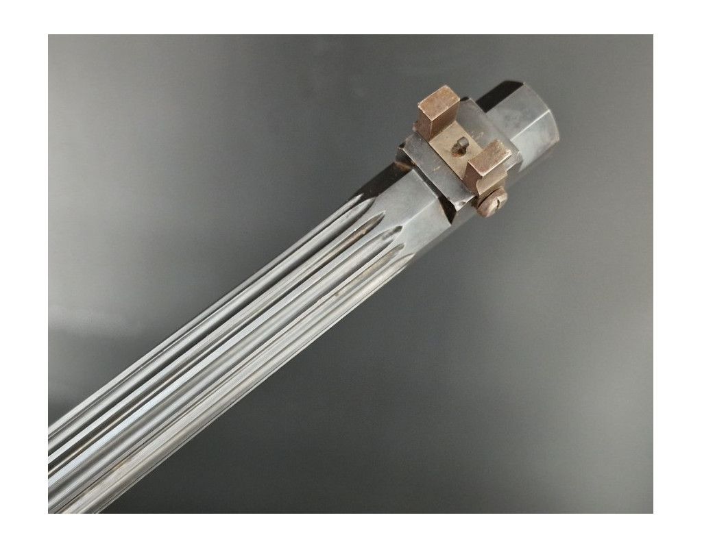 Armes d'Épaule CARABINE DE TIR SYSTEME FLOBERT CALIBRE 6MM/.22 ANNULAIRE - BELGIQUE FRANCE XIXè - 11