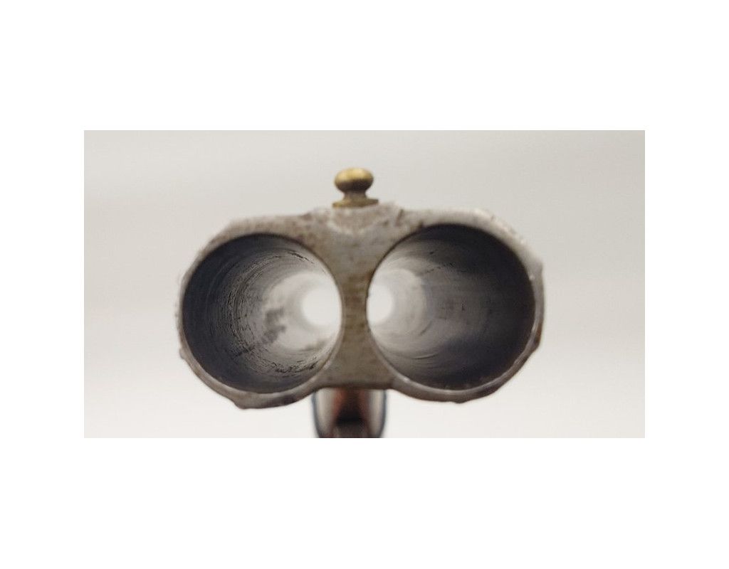 Armes de Poing PISTOLET DE VÉNERIE JUXTAPOSÉ À CHIENS EXTÉRIEURS CALIBRE 12mm/50 ÉMILIO LAPORT & Cia RIO DE JANEIRO 1896-1919 -