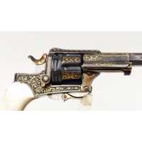 Armes de Poing REVOLVER DE LUXE SAINT-ÉTIENNE 1874 FAGNUS MAQUAIRE CALIBRE 320 - CADEAU DU MARÉCHAL FOCH À LOUIS MOUILLESEAUX -