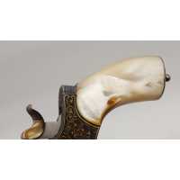 Armes de Poing REVOLVER DE LUXE SAINT-ÉTIENNE 1874 FAGNUS MAQUAIRE CALIBRE 320 - CADEAU DU MARÉCHAL FOCH À LOUIS MOUILLESEAUX -