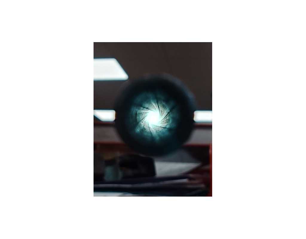 Armes Longues CANNE FUSIL CANNE ETOILE MANUFACTURE ARMES ET CYLCES SAINT ETIENNE Calibre 5.5 mm CAL.22 ANNULAIRE - FRANCE XIXè {