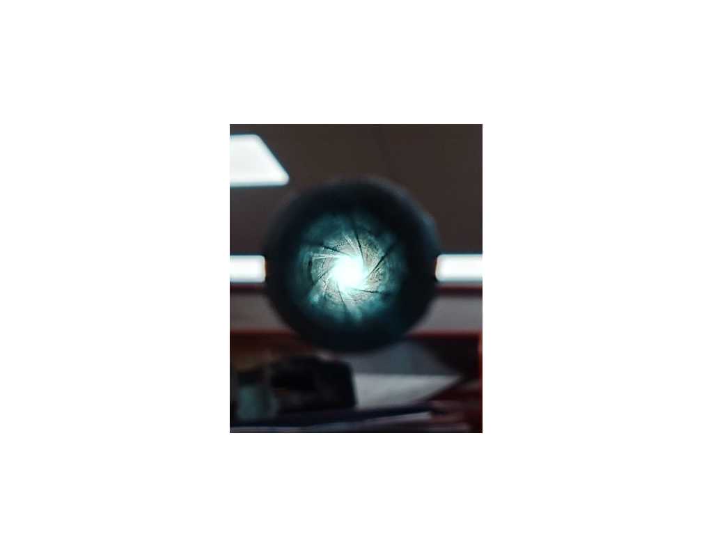 Armes Longues CANNE FUSIL CANNE ETOILE MANUFACTURE ARMES ET CYLCES SAINT ETIENNE Calibre 5.5 mm CAL.22 ANNULAIRE - FRANCE XIXè {