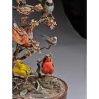 ANTIQUITES DIAPORAMA SOUS GLOBE DE VERRER DE DIVERS OISEAUX PROTEGES VERS 1850 - FRANCE XIXè {PRODUCT_REFERENCE} - 5