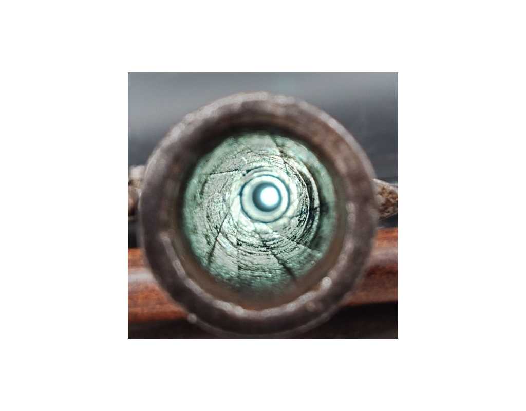 Armes de Poing REVOLVER GASSER MONTÉNÉGRIN CALIBRE 11MM {PRODUCT_REFERENCE} - 10