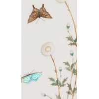 Art du Japon ÉTUI À CARTES SHIBAYAMA EN IVOIRE INCRUSTÉ DE NACRE JAPON MEIJI PERIODE 1868-1912 {PRODUCT_REFERENCE} - 12