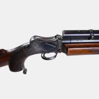 Armes d'Épaule Carabine Parker Hale Birmingham Martini De Luxe .22 Hornet Take Down - 1