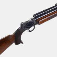 Armes d'Épaule Carabine Parker Hale Birmingham Martini De Luxe .22 Hornet Take Down - 3