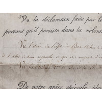 Souvenirs Historiques CADRE EN VERRE    LETTRE ANOBLISSEMENT ETRANGER   CACHET DE CIRE CHARLES X  1824-1830 FRANCE XIXè {PRODUCT