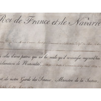 Souvenirs Historiques CADRE EN VERRE    LETTRE ANOBLISSEMENT ETRANGER   CACHET DE CIRE CHARLES X  1824-1830 FRANCE XIXè {PRODUCT