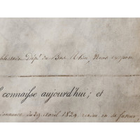 Souvenirs Historiques CADRE EN VERRE    LETTRE ANOBLISSEMENT ETRANGER   CACHET DE CIRE CHARLES X  1824-1830 FRANCE XIXè {PRODUCT