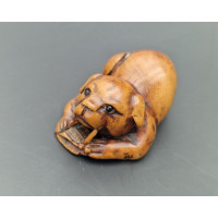 Art du Japon NETSUKE EN BUIS  CHIOT JOUANT  SIGNE TOMOHISA  - JAPON PERIODE EDO XIXè {PRODUCT_REFERENCE} - 2