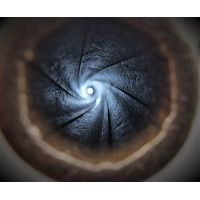 Armes de Poing REVOLVER  COLT PEACEMAKER SINGLE ACTION MILITAIRE DE CAVALERIE  SAA 1873   US ARMY 1877 CALIBRE 45LC - BACKWARDS 