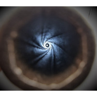 Armes de Poing REVOLVER  COLT PEACEMAKER SINGLE ACTION MILITAIRE DE CAVALERIE  SAA 1873   US ARMY 1877 CALIBRE 45LC - BACKWARDS 