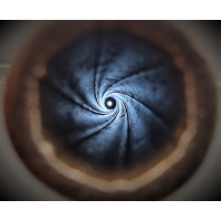 Armes de Poing REVOLVER  COLT PEACEMAKER SINGLE ACTION MILITAIRE DE CAVALERIE  SAA 1873   US ARMY 1877 CALIBRE 45LC - BACKWARDS 