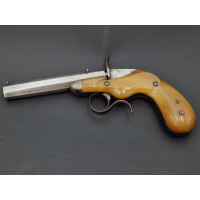 Armes de Poing PISTOLET DE SALON    FAURE LEPAGE A PARIS   CARCASSE MONOBLOC  CORNE BLONDE Calibre 22 FLOBERT - FRANCE XIXè {PRO