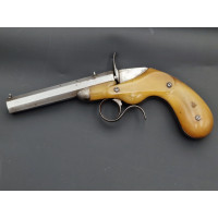 Armes de Poing PISTOLET DE SALON    FAURE LEPAGE A PARIS   CARCASSE MONOBLOC  CORNE BLONDE Calibre 22 FLOBERT - FRANCE XIXè {PRO