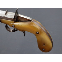 Armes de Poing PISTOLET DE SALON    FAURE LEPAGE A PARIS   CARCASSE MONOBLOC  CORNE BLONDE Calibre 22 FLOBERT - FRANCE XIXè {PRO