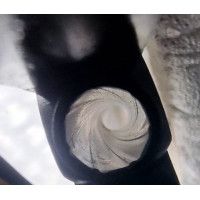 Armes de Poing REVOLVER  WEBLEY GOUVERNEMENT WG ARMY MODEL 1896  Calibre .455 & 45 LC - GB XIXè {PRODUCT_REFERENCE} - 12