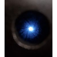 Armes Longues CARABINE WINCHESTER MODELE 1873 CALIBRE 32/20 32WCF DE 1893 - USA XIXè {PRODUCT_REFERENCE} - 34