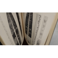 DOCUMENTATION LIVRES TOME 1 ET 2  " SHINTO TAIKAN " DE YOSHIAKI LIMURA  - JAPON PERIODE SHOWA (1926-1989) {PRODUCT_REFERENCE} - 