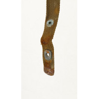 Militaria WW2 BRETELLE CARABINE USM1 - USA SECONDE GUERRE MONDIALE {PRODUCT_REFERENCE} - 5