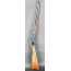 CARABINE DE SELLE  COLT LIGHTNING   ELLIOT'S PATENT 1883   CALIBRE 44/40 WINCHESTER 44WCF - USA XIXè
