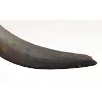 Armes Blanches POIGNARD DJAMBYA KANDJAR DAMAS WOOTZ OTTOMAN  PERSE ÉPOQUE QADJAR (1797-1925) {PRODUCT_REFERENCE} - 27