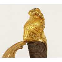 Armes Blanches SABRE MONTMORENCY OFFICIER REVOLUTIONNAIRE VERS 1792 MODELE AU LION GRIMPANT - FRANCE REVOLUTION {PRODUCT_REFEREN