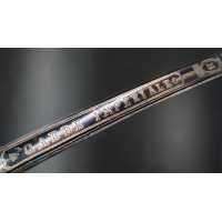 Armes Blanches SABRE D'OFFICIER DES CHASSEURS A PIED DE LA GARDE IMPERIALE  1804 SOLINGEN - FRANCE PREMIER EMPIRE {PRODUCT_REFER