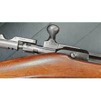 Armes Longues CARABINE DE GENDARMERIE A PIED GRAS 1874 M80 MANUFACTURE DE ST ETIENNE 1879 Calibre 11mm - France IIIè République 