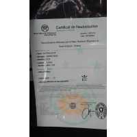 Armes Neutralisées RARE MITRAILLEUSE DARNE D'INFANTERIE MODELE 1922 CALIBRE 7.5X54 MAS {PRODUCT_REFERENCE} - 4