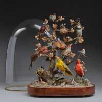 ANTIQUITES DIAPORAMA SOUS GLOBE DE VERRER DE DIVERS OISEAUX PROTEGES VERS 1850 - FRANCE XIXè {PRODUCT_REFERENCE} - 1