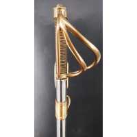 Armes Blanches BEAU SABRE D'OFFICIER DE HUSSARDS MODELE À LA CHASSEUR MODÈLE AN IX - FRANCE PREMIER EMPIRE {PRODUCT_REFERENCE} -