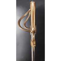 Armes Blanches BEAU SABRE D'OFFICIER DES HUSSARDS ÉCLAIREURS  JEUNE GARDE IMPERIALE MODÈLE À LA CHASSEUR MODÈLE AN IX - FRANCE P