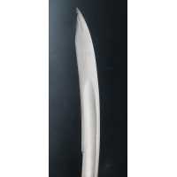 Armes Blanches BEAU SABRE D'OFFICIER DES HUSSARDS ÉCLAIREURS  JEUNE GARDE IMPERIALE MODÈLE À LA CHASSEUR MODÈLE AN IX - FRANCE P