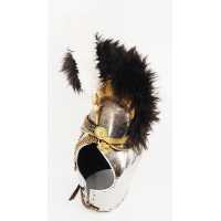 CASQUE ET CUIRASSE...