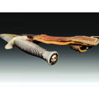 Militaria DAGUE LE COMMANDO SUPER NOGENT INOX PARACHISTISTE INDOCHINE {PRODUCT_REFERENCE} - 5