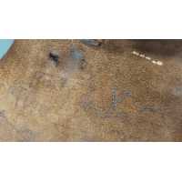 Militaria WW2 ÉTUI HOLSTER DE PISTOLET MILITAIRE P35 / RADOM VIS 35 WAFFEN 1944 {PRODUCT_REFERENCE} - 12