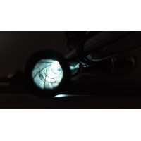 Armes de Poing REVOLVER LADY SMITH MODÈLE 1 CALIBRE 22L / 5,5MM ANNULAIRE  - 10