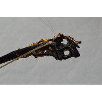 Arts & Armes du Japon ARCHET de KOKYU JAPONAIS Instrument à cordes - Japon Meiji  - 6
