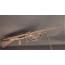 FUSIL MITRAILLEUR WW1 FM CHAUCHAT CRSG 1915 DESACTIVE NEUTRA 2021 - France 1er Guerre Mondiale