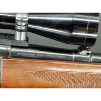 Chasse SAVAGE Modèle 1899 CARABINE de CHASSE Calibre 243 Winchester à LUNETTE TASCO MONTAGE PIVOTANT K4 60B - USA XIXè {PRODUCT_