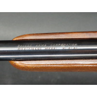 Chasse SAVAGE Modèle 1899 CARABINE de CHASSE Calibre 243 Winchester à LUNETTE TASCO MONTAGE PIVOTANT K4 60B - USA XIXè {PRODUCT_