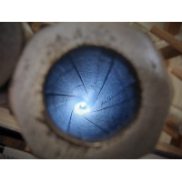 Armes Longues CARABINE de TIR    MARLIN  SAFETY   Modèle 1889    en Calibre   44  WCF  WINCHESTER 44/40  -  USA XIXè {PRODUCT_RE